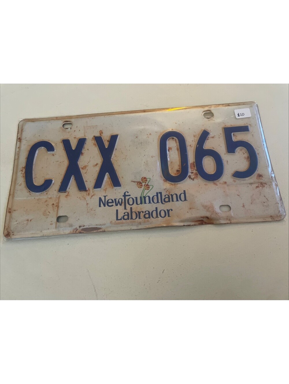 Newfoundland License Plate (Expired) Labrador CXX 065